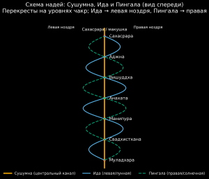Где расположена Свадхистана 